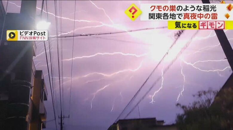 【関東各地で雷】「異様な光景」クモの巣のような稲光も…6時間で約1万1500回の落雷　専門家「雲の中で放電」｜FNNプライムオンライン