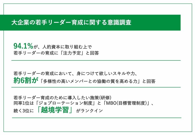 【独自調査レポート】人的資本経営を行う大企業の94.1%が「若手リーダー育成に注力予定」と回答!若手リーダー育成のために導入したい施策(研修)、TOP3は...?