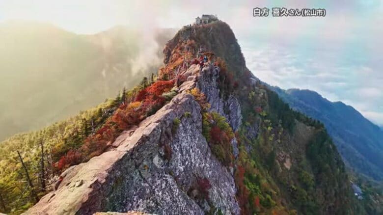 感動は上空から！今治で今年も「しまなみドローン国際映画祭」　壮大な迫力映像が観客を魅了【愛媛】｜FNNプライムオンライン