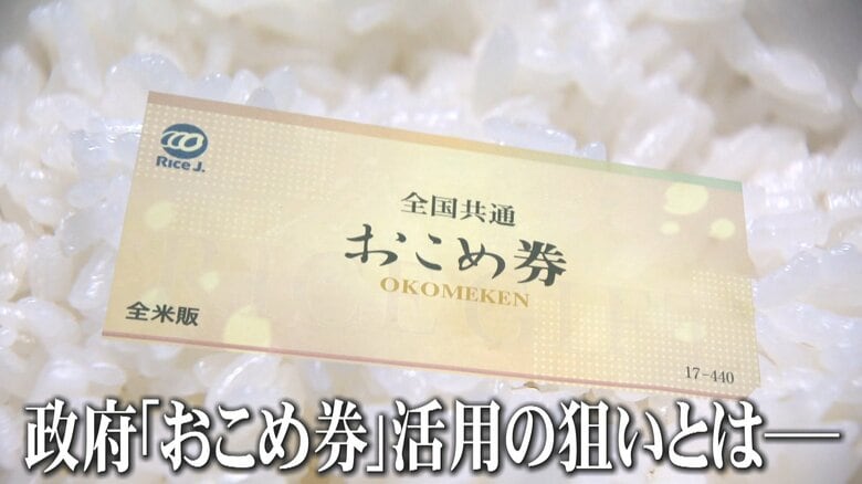 【賛否】政府「おこめ券」配布を推奨へ…家計支援の一方で　「高止まりを助長してしまう可能性も」今後のコメ価格どうなる？｜FNNプライムオンライン
