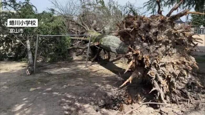 信号機の向きが変わるほどの猛烈な風　4日の「春の嵐」で富山県内の8人負傷・3130戸停電｜FNNプライムオンライン