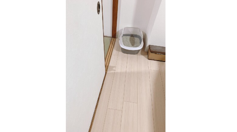 (かわいい影がしっかり見えてるよ 提供:のべ子さん)