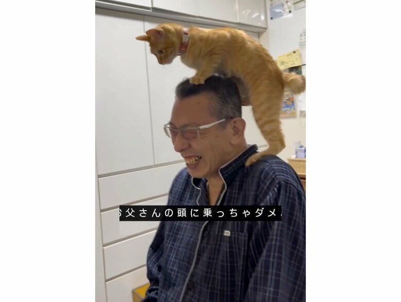 笑顔なお父さん（提供：cohakuさん）