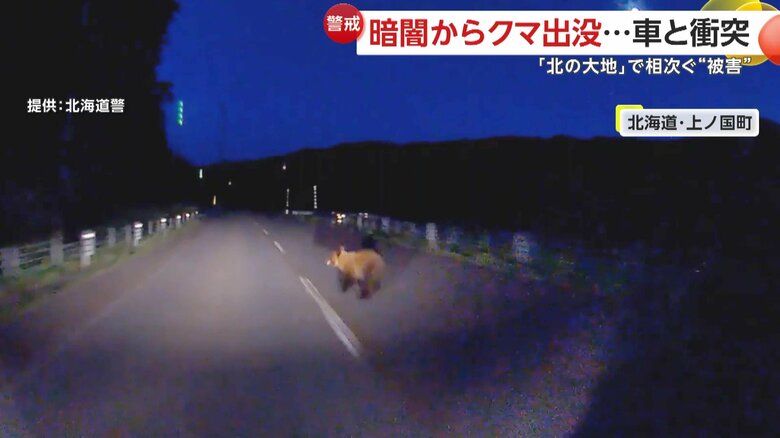 クマと衝突する衝撃的な瞬間（3日午後7時半頃、北海道・上ノ国町）③