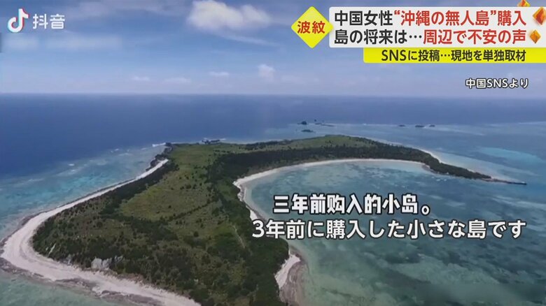 動画には説明文が添えられていた