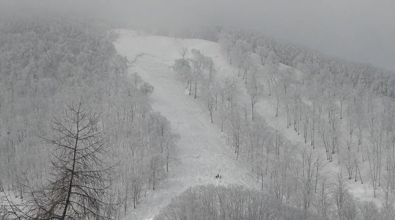 斑尾高原スキー場で起きた雪崩