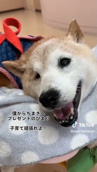 提供：エンとちぃさん