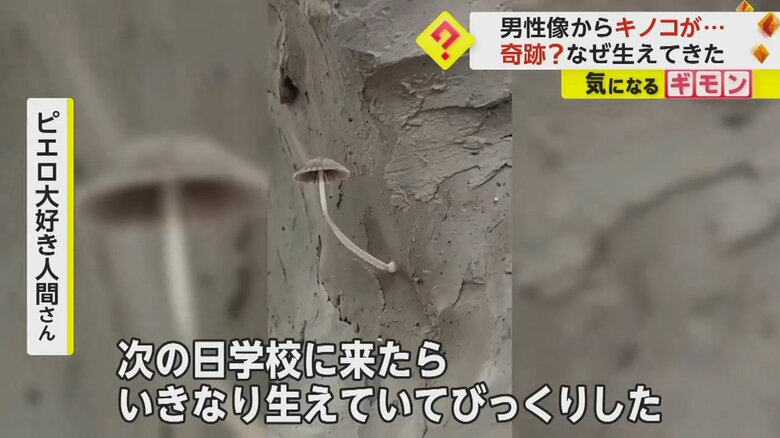 彫刻からキノコが生えてきている様子