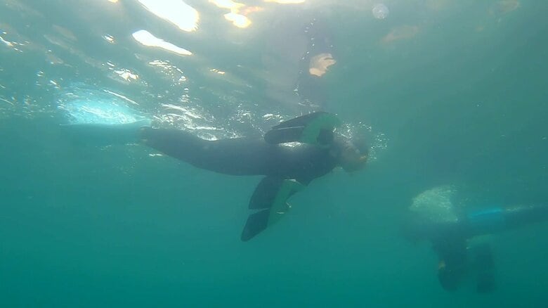 だんだんフィンが使いこなせるように