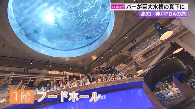 ビールスタンド「パブガブ」　サメやエイが泳ぐ水族館の水槽が見える