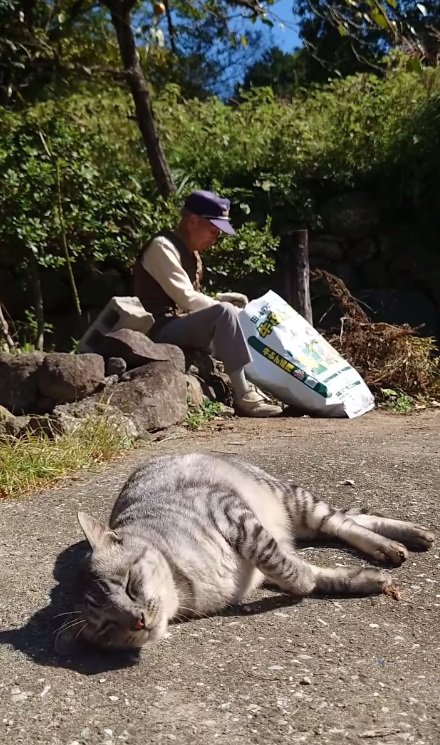 趣味の草むしり中のおじいちゃんと大五郎くん