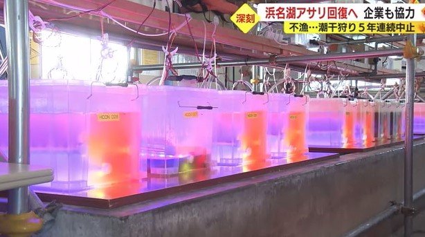 ”光”を使ってプランクトンを培養