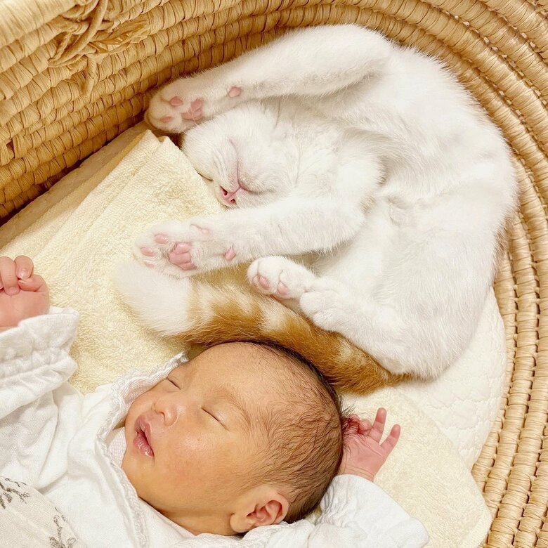 ふたりでバンザイ寝（提供：こなつさん）