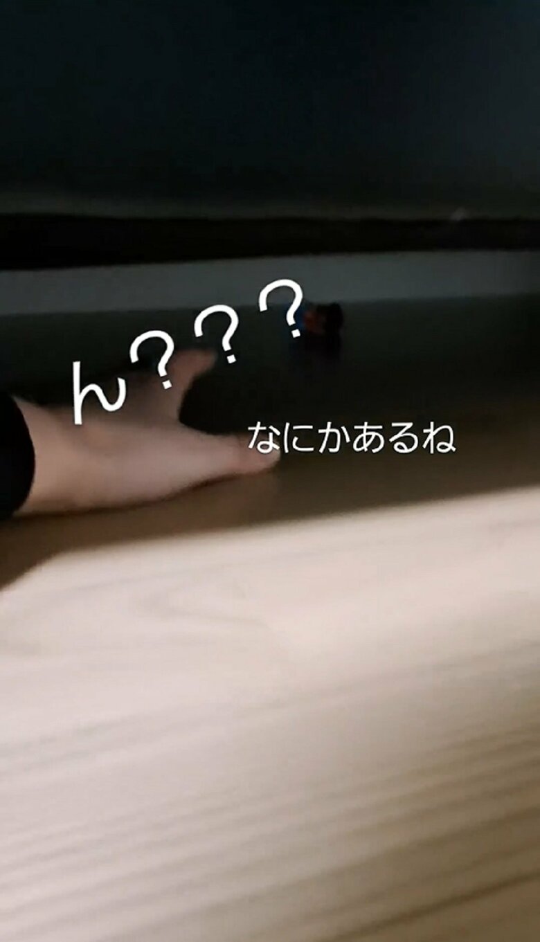 手を伸ばし取ってみると…