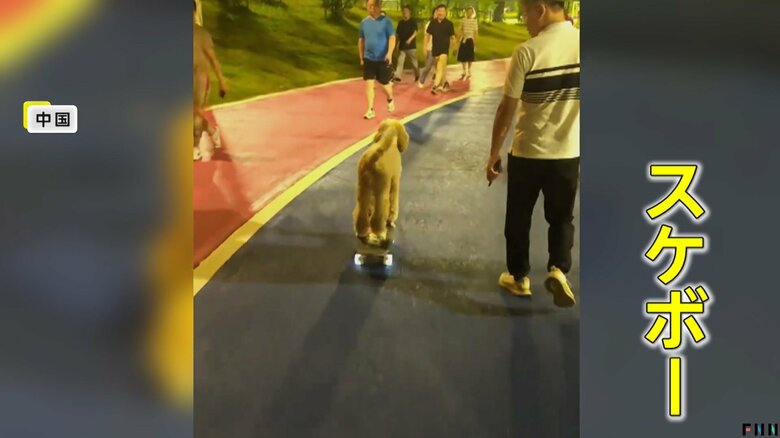 さっそうと風を切って、スケボーに乗る「来福」