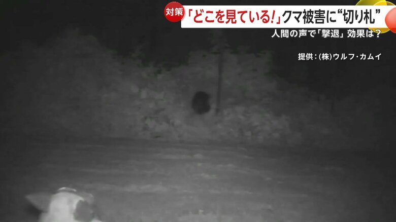 「モンスターウルフ」の音で逃げていくクマ⑤