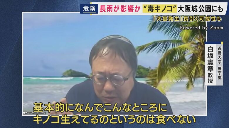 毒キノコには細心の注意を