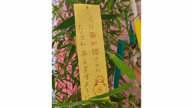 飼い主さんが書いた七夕の短冊