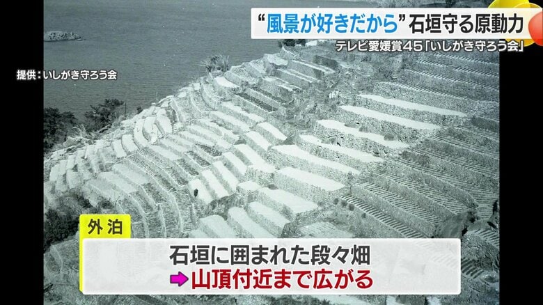 昭和30年代の愛南町の「石垣の里」（提供：いしがき守ろう会）