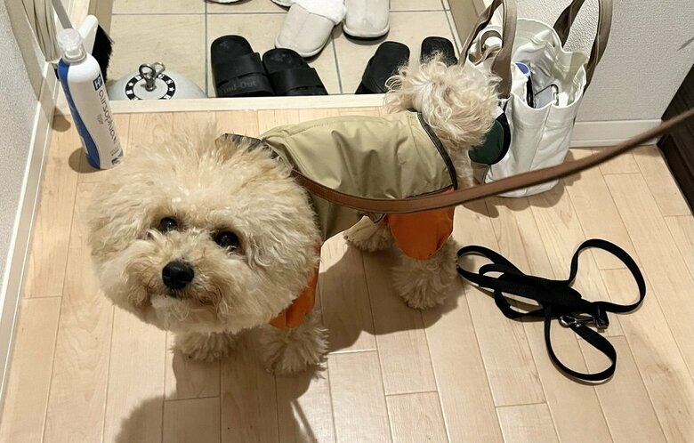 レインコートを着こなすポテチくん