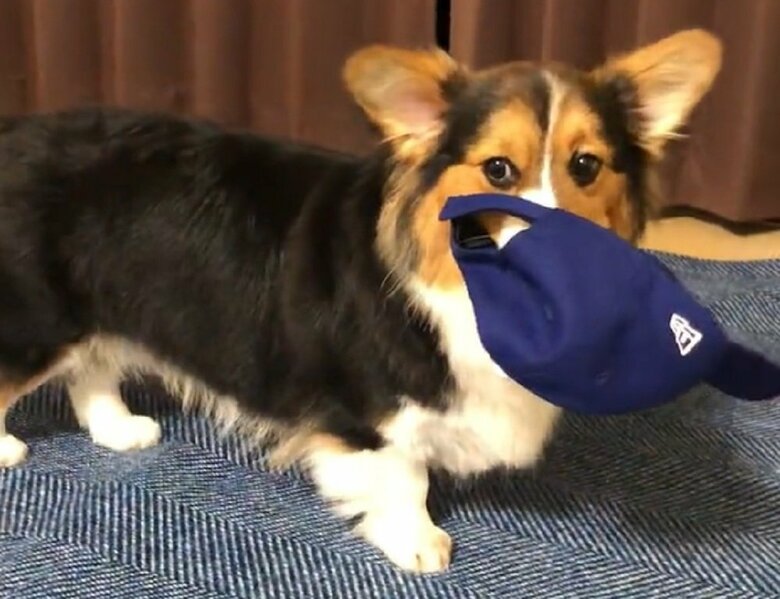 生後11カ月頃　帽子泥棒