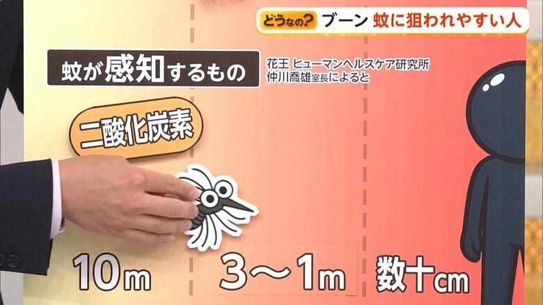 約10メートル、人から出る二酸化炭素を感じ取る蚊