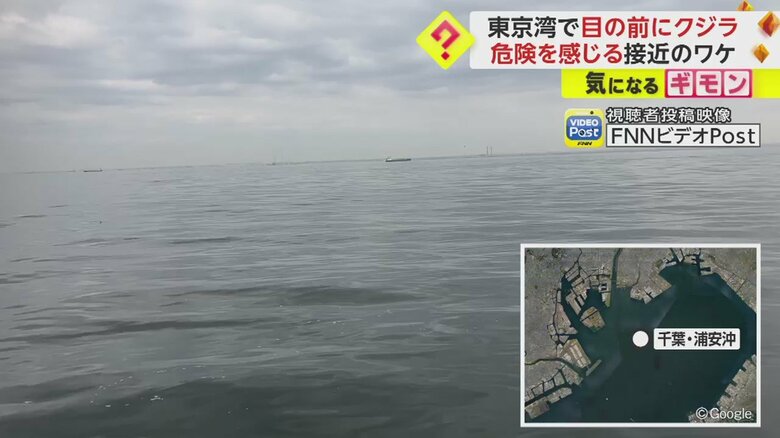 千葉・浦安沖に浮かぶ一隻の船