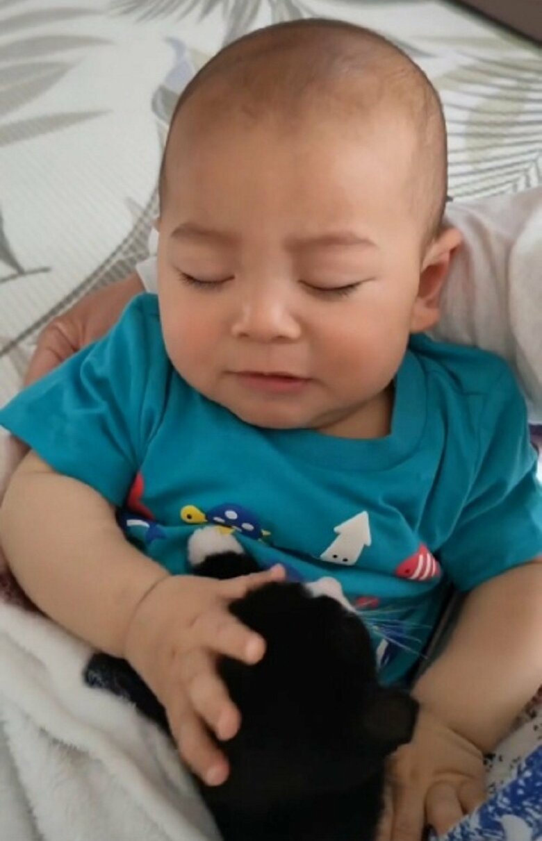 眠いけれどもなでなでしてあげる蓮慈くん