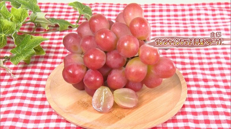 サンシャインレッド（甲斐ベリー7）