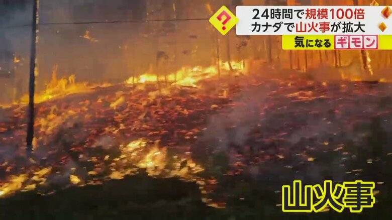 道のすぐ横まで迫る山火事（NIKKI GOYER）