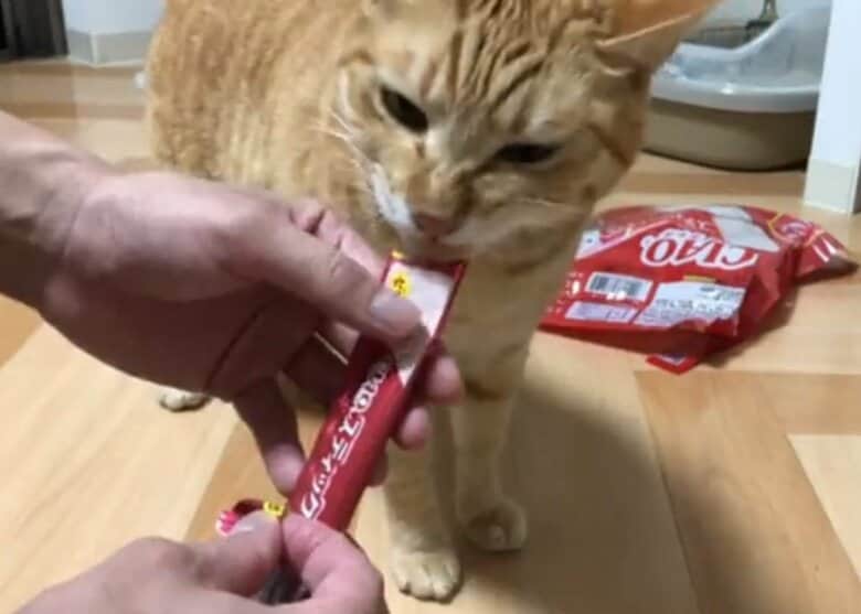 提供：あずきなこさん