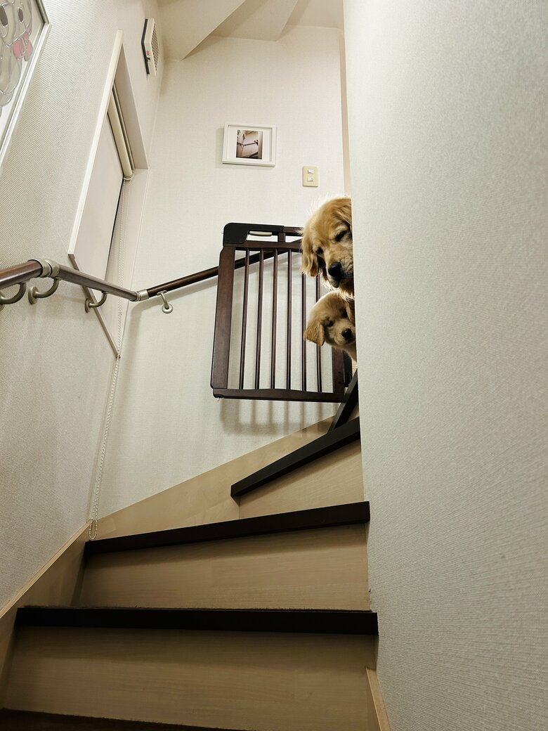 提供：efrinmanさん