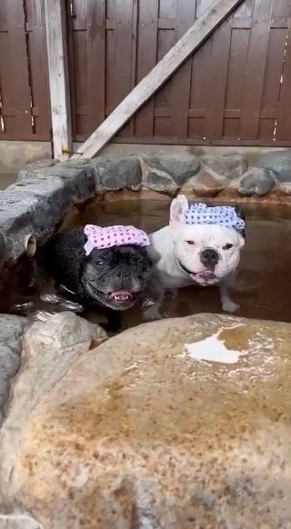 提供：天使の笑顔さん