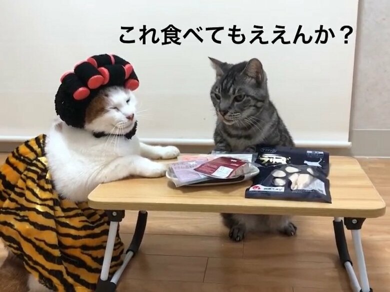 ひなぞう・桜ママ夫婦におやつが届く