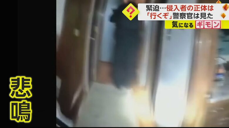 アメリカ・ミズーリ州の住宅に駆け付け銃を構え慎重に歩く警察官⑤