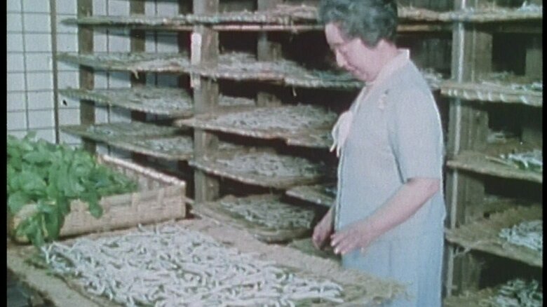 昭和45（1970）年6月　ご給桑作業をおこなう香淳皇后