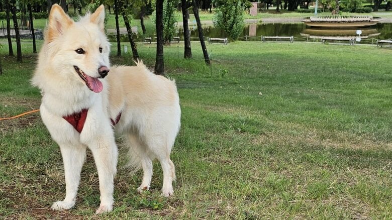 公園で楽しんでいる様子