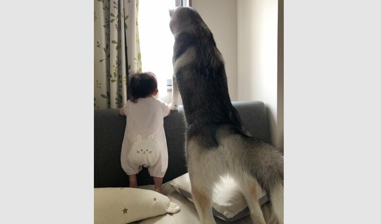 子どもと一緒に外を眺めることも