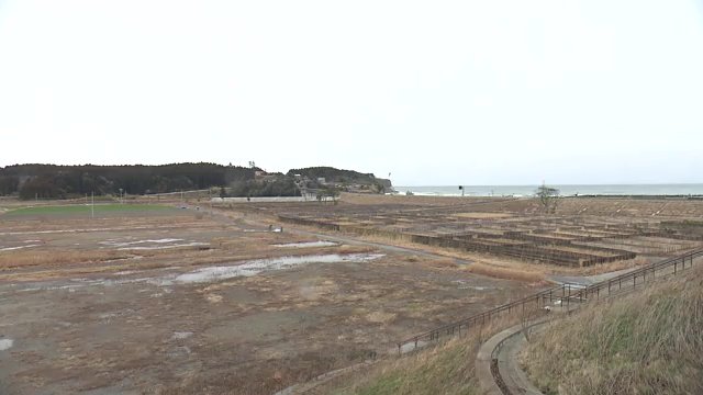 支援を受けて起業した会社は18