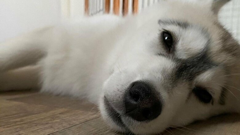 成長を温かく見守っていきたい