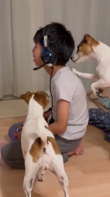 提供：あずもなさん