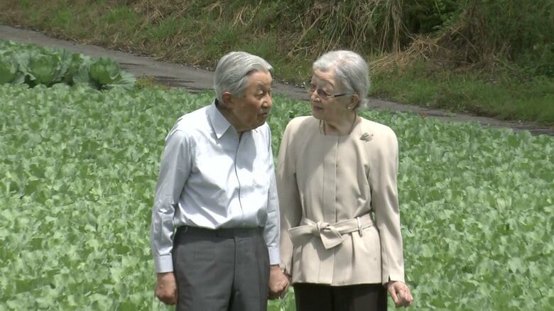 大日向開拓地のキャベツ畑を訪問された　2024年8月