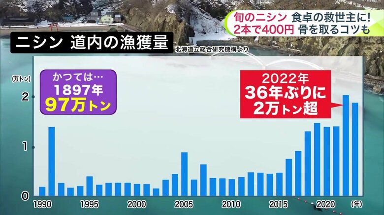 ニシンの漁獲量（道内）