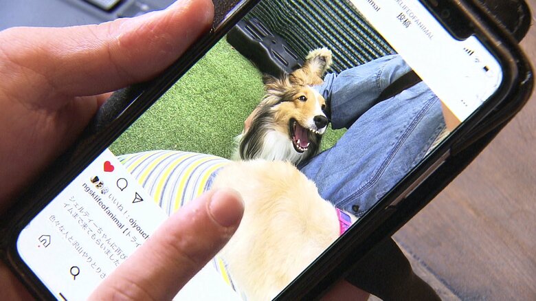 田崎さんもSNSでの発信を始めた