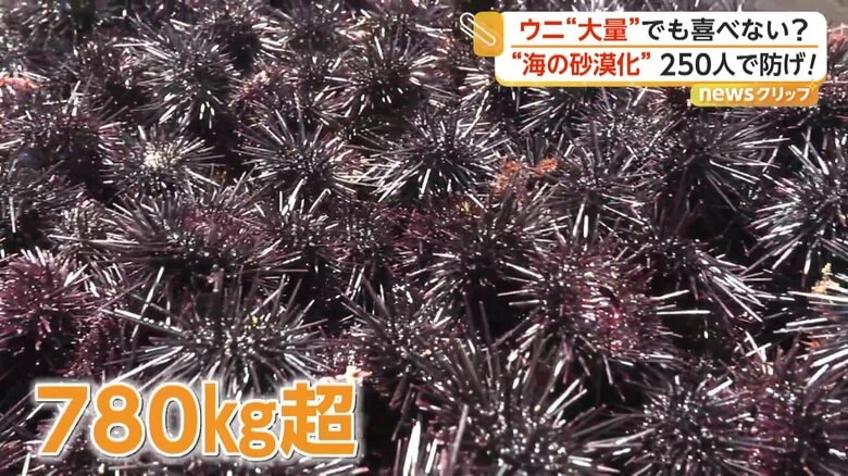 1時間ほどで取り除いたウニ