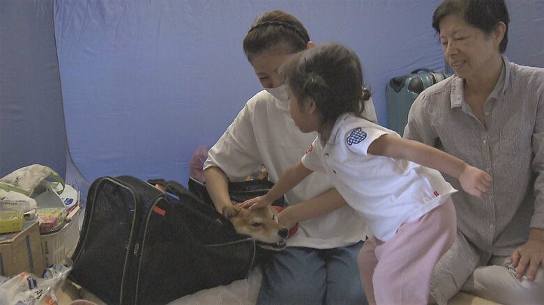 ペットと一緒に避難してきた人