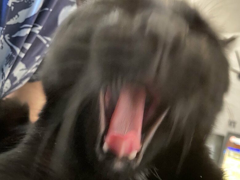 ソウくんはなぜが衝撃写真になるという