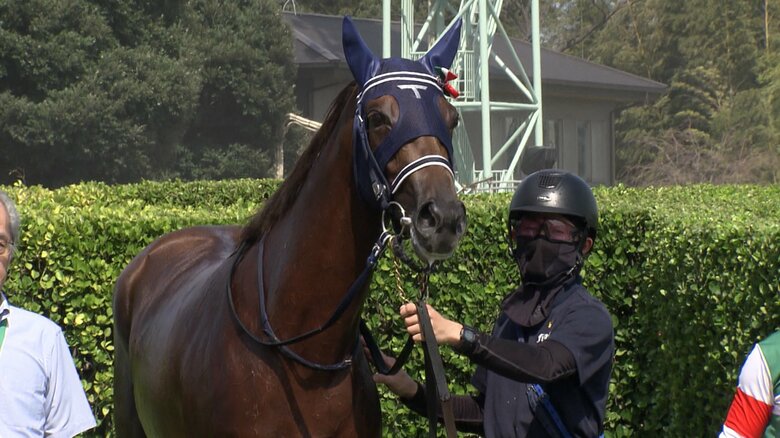 新馬戦を制したギリーズボール