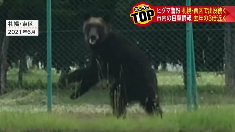 2021年に札幌東区で人を襲い続けたヒグマ