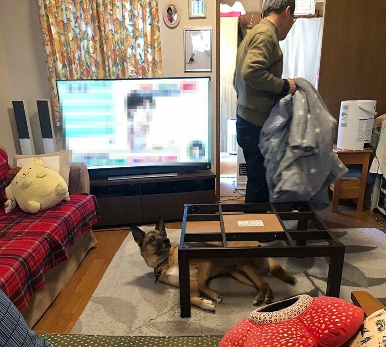 こたつ布団がなくなった！？
